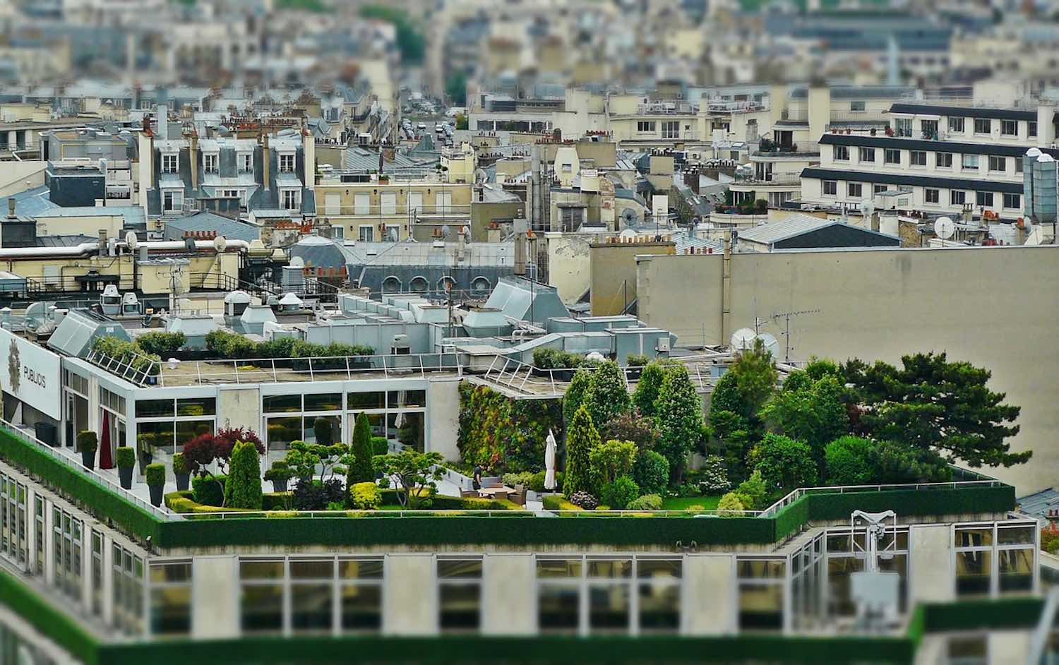 Rooftop Garden