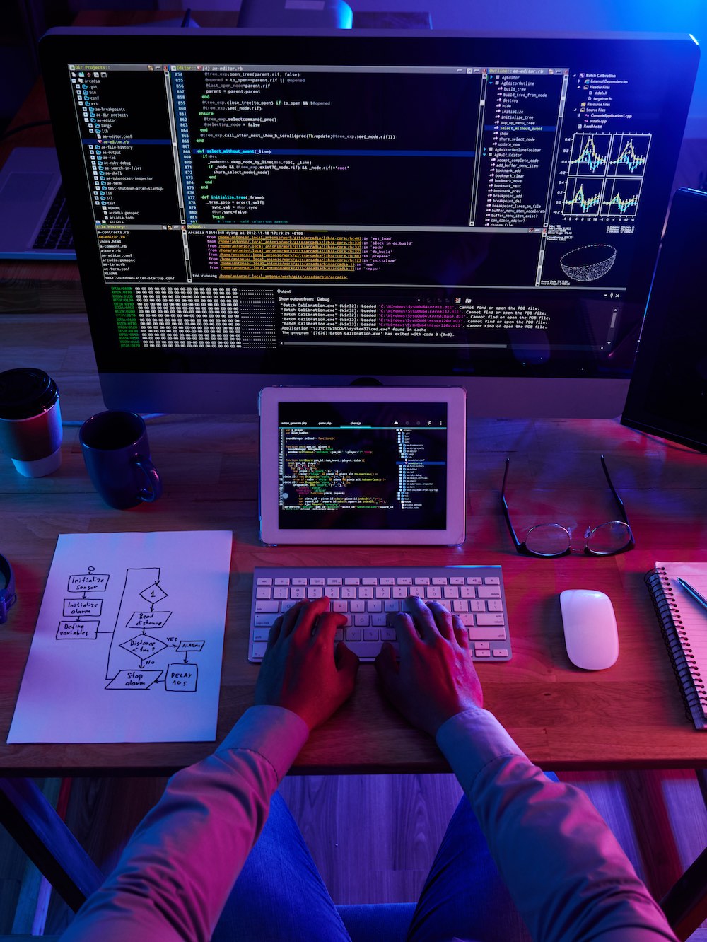 Programmer